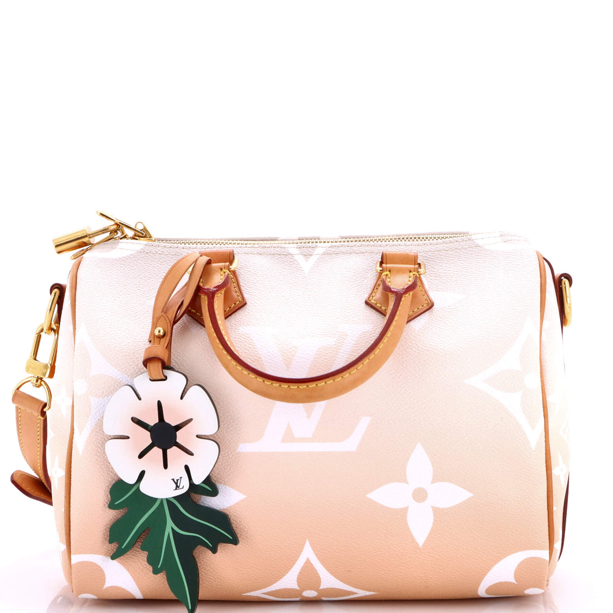Louis Vuitton Speedy Bandouliere Bag By The Pool Monogram Giant 25